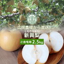 広岡農場の新興(しんこう)梨 2.5kg詰(4〜6玉入) 鳥取県産 なし 訳あり(ご自宅用) 送料無料(北海道・沖縄を除く)