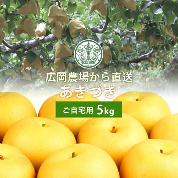 広岡農場のあきづき5kg詰（7〜14玉入） 鳥取県産 梨 訳あり（ご自宅用） 送料無料（北海道・沖縄を除く）