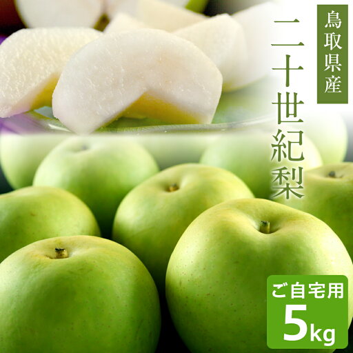 梨 二十世紀梨(20世紀梨)5kg詰(16玉前後入) 鳥取県産 なし 訳あり(ご自宅用) 送料無料(北海道・沖縄を除く) 梨 二十世紀梨(20世紀梨)5kg詰(16玉前後入) 鳥取県産 なし 訳あり(ご自宅用) 送料無料(北海道・沖縄を除く)