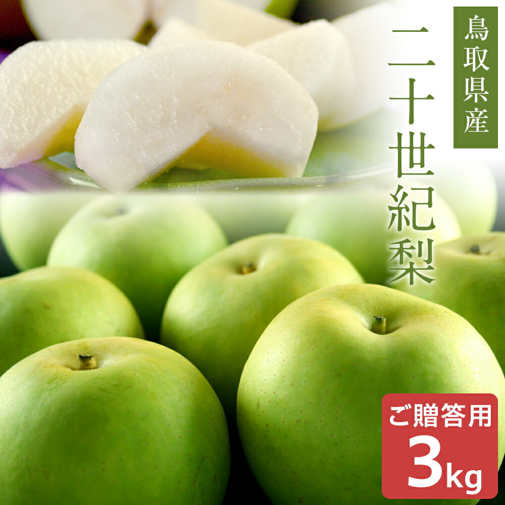 203kg͡9 Ļ踩  ʤ ֽʤ£ѡ ̵̳ƻ