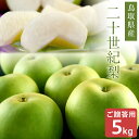 二十世紀梨(20世紀梨)5kg詰(14玉前後入) 鳥取県産 梨 なし 赤秀(ご贈答用) 送料無料(北海道・沖縄を除く)