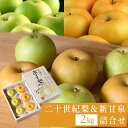 二十世紀梨&新甘泉2kg詰合せ(6玉入り) 鳥取県産 なし 梨 2025 赤秀 送料無料(北海道・沖縄を除く)