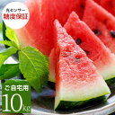 大栄すいか10kg前後(超大玉サイズ)×1玉 鳥取県産 ご自宅用大栄スイカ 訳あり 送料無料(北海道・沖縄を除く)