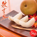 梨 光センサー糖度12.5度以上保証 秋甘泉(あきかんせん)5kg詰(8~14玉入) 鳥取県産 なし 赤秀 送料無料(北海道・沖縄を除く)