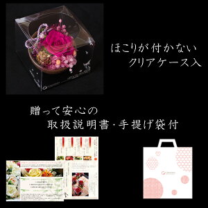 母の日ギフト和風プリザーブドフラワー(カーネーションアレンジ)&上生菓子セット「遅桜(おそざくら)」箪笥箱入り花スイーツ送料無料