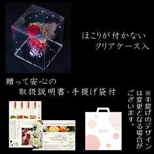 母の日ギフト和風プリザーブドフラワー(カーネーションアレンジ)&ひとくち上生菓子セット「春香(はるか)」箪笥箱入り花スイーツ送料無料