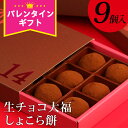 バレンタイン チョコ 2025 『福田屋 “生チョコ大福”しょこら餅9個入』チョコレート おしゃれ 義理チョコ 本命 プチギフト 子供 職場 会社 おもしろチョコ かわいい 大量 ばらまき お菓子 和風 ギフト プレゼント