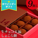 株式会社福田屋 生チョコ大福 しょこら餅9個入