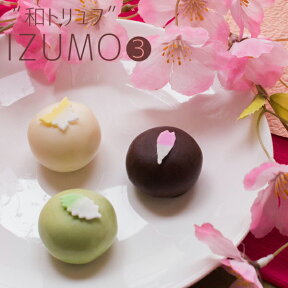 ホワイトデー お返し お菓子 おしゃれ 『坂根屋 “和トリュフ”IZUMO3個入』 ネット限定プレゼント ギフト チョコ チョコレート 個包装 子供 かわいい スイーツ おもしろ プチギフト