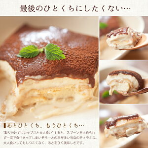 生チョコふわとろティラミス