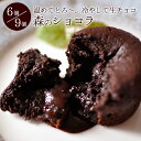 敬老の日 スイーツ チョコ チョコレートケーキ ギフト スイーツ お中元 誕生日プレゼント フォンダンショコラ 生チョコ ケーキ 個包装 森のショコラ 6個入 9個入 カフェスイーツ 敬老の日