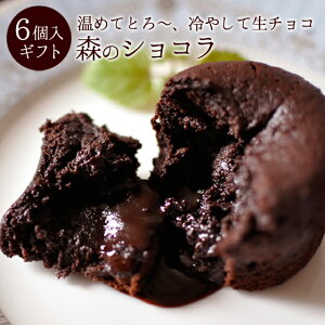 バレンタイン チョコレート ギフト フォンダンショコラ 森のショコラ6個入【あす楽対応】