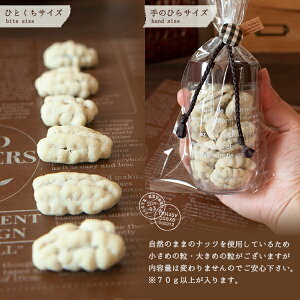 ホワイトデーチョコレートギフトホワイトチョコナッツペカンナッツお配り10本セット誕生日プレゼントホワイトデー2022イベント景品