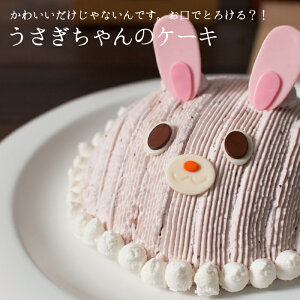 誕生日ケーキ キャラクター バースデーケーキ うさぎちゃんのケーキ 立体 デコレーションケーキ 3Dケーキ ババロア ムース 子供