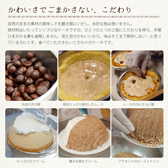 楽天市場 バースデーケーキ キャラクター お誕生日ケーキ くまちゃんのケーキ 立体ケーキ デコレーションケーキ 3dケーキ 5 5号 4 7人分 子供 動物 インスタ映え 1歳 女の子 男の子 ３時の森