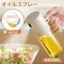 オイルスプレー 250ml 霧吹き 耐熱 ミスト噴射 カロリーカット 油漏れ防止設計 広口 高性能フィルター 丸洗いOK 料理 キッチン BBQ ノンフライヤー オイルボトル 油ポット 霧吹き スプレーボトル 料理用 油さし オイル差し キッチン用品 プレゼント ギフト