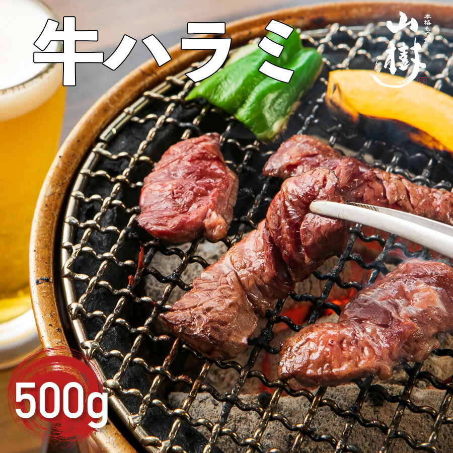 山樹 ハラミ 500g 牛肉 ビーフ 焼肉 はらみ 牛ハラミ たれ 塩 焼き肉 BBQ お取り寄せグルメ 味付け肉 ..