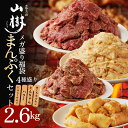 メガ盛りまんぷくセット 焼肉 4種 総重量2.6kg 福袋 国産 はらみ500g にんにくサガリ1,000g 白ころホルモン300gx2 とんちゃん500g 牛...