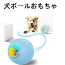 犬 ボール 自動 電動 おもちゃ 動き 玩具 光る ウィキッド ボール 回転 人気 ペット プレゼント LEDライト 遊具 機械 知育 中小型犬適用 室内運動 ...
