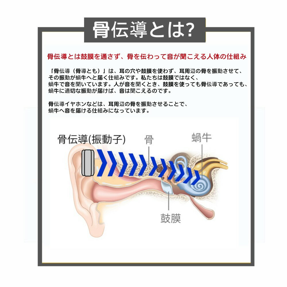 �ȳ����о� ����Ƴ����ۥ� bluetooth �ޥ����դ� �ɿ� ���ݡ��� �إåɥۥ� ���˥� �ȥ졼�˥� ��������� ����ɤ��ʤ��إåɥ��å� �磻��쥹����ۥ� Type-C��®���� 8����Ϣ³���� ���ݤ��� �ץ쥼���