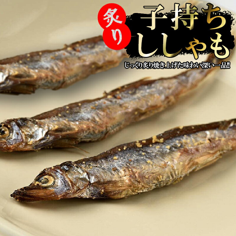 メール便 不揃い 訳あり 子持ち ししゃも 100gセット おつまみ 魚介乾製品 燻製 海産 水産 海鮮 農水 お土産 手土産 魚 ギフト プレゼント 北海道グルメ お取り寄せグルメ 乾物 無添加 珍味 函館 北海道 海鮮 酒の肴 お酒に合う ビールに合う 晩酌 干物 大容量 【三海幸】 3