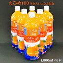 『えひめ100 みかんいよかん混合 1,000ml×6本』【春夏限定販売】