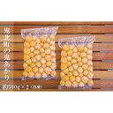 『冷凍鬼あかり 500g×2パック』1kg【クール冷凍便】食用鬼灯 鬼灯 ほおずき ホオズキ 鬼北町 鬼北町農業公社