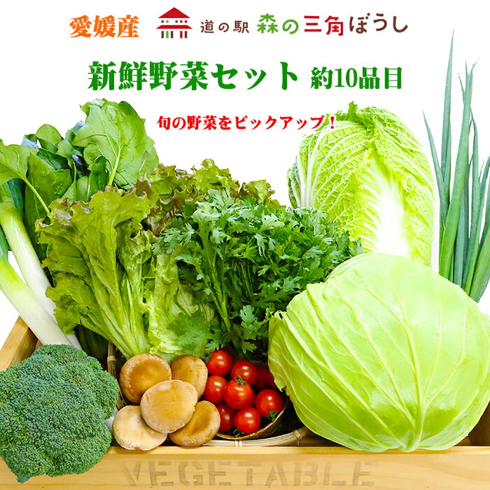 全国お取り寄せグルメ愛媛野菜セット・詰め合わせNo.3