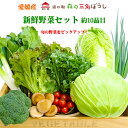 新鮮野菜セット 約10品目 産直 新鮮 野菜 やさい 愛媛産 鬼北 農作物 料理 旬 季節