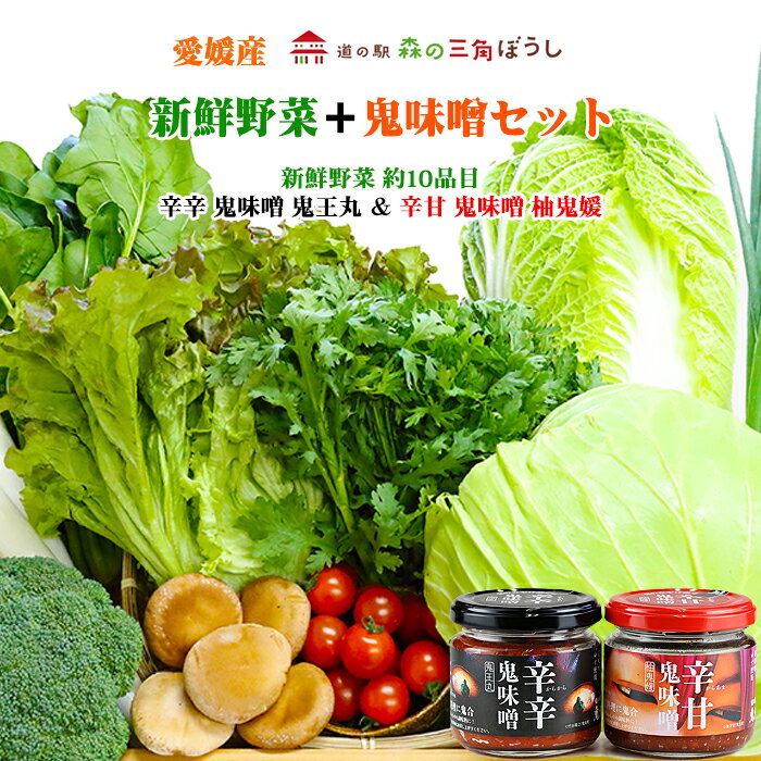 『新鮮野菜＋鬼味噌セット』産直 新鮮 野菜 やさい 愛媛産 鬼北 農作物 料理 旬 季節