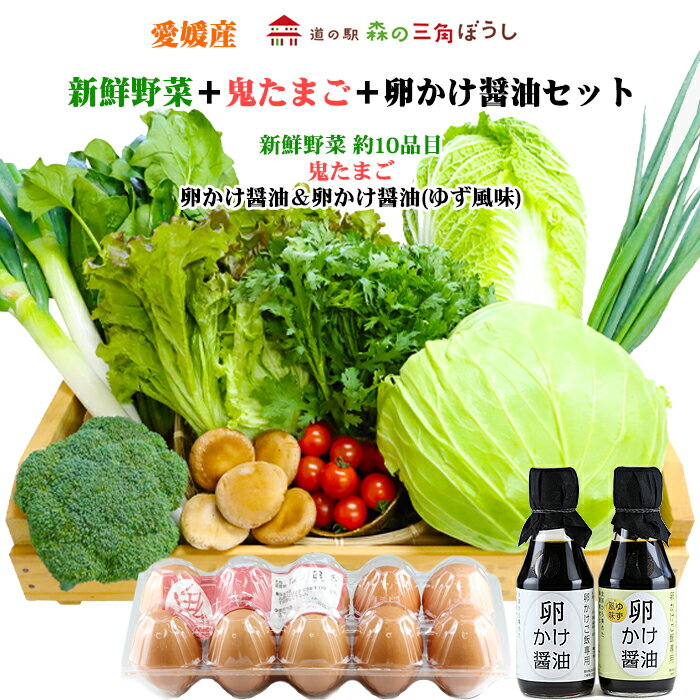 『新鮮野菜＋鬼たまご＋卵かけ醤油セット』 産直 新鮮 野菜 やさい 愛媛産 鬼北 農作物 料理 旬 季節