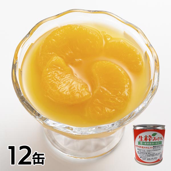 いのうえ果樹園 生粋みかん缶詰 12缶セット 6N615-12 1セット（12缶：1缶295g）