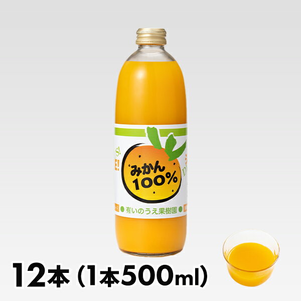 いのうえ果樹園 みかん100%ジュース 12本セット 1セット（12本：1本500ml）