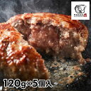格之進 薫格ハンバーグ 5個セット 1セット:120g×5個入