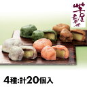 コウヤマ 熊本「芋屋長兵衛」熊本いきなり団子4種セット 20個入 1セット:4種(計20個入)
