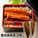 大新 鹿児島県産 こだわりうなぎ蒲焼 2尾 1セット:長焼き110g×2