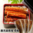 大新 鹿児島県産 こだわりうなぎ蒲焼 4尾 1セット:長焼き110g×4
