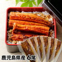 大新 鹿児島県産 こだわりうなぎ蒲焼 6尾 1セット:長焼き110g×6
