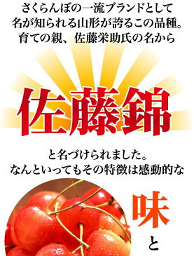 送料無料 訳あり 山形県産 さくらんぼ 佐藤錦 1kg 産地直送 ご予約