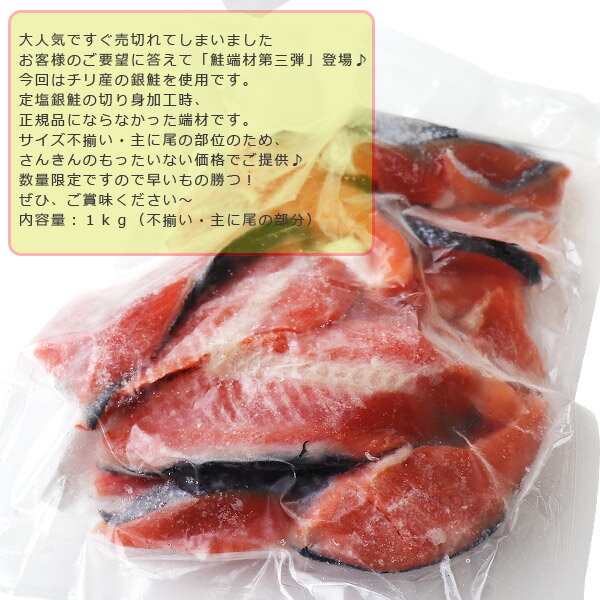 訳あり 定塩銀鮭 切り落とし （不揃い・尾部位）端材 1kg