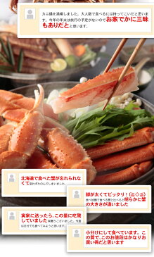 ≪お鍋セール≫送料無料 生ずわい蟹 てんこ盛り 2.5kg化粧箱 特大5L以上