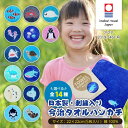 \クーポン有/ 【5枚セット】 今治タオル認定 水族館 魚 さかな 刺繍入り ハンカチ 今治 今治タオル 今治ハンカチ 刺繍 タオルハンカチ ハンカチタオル ハ...
