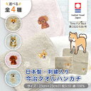 \クーポン有/ 【選べる4種】今治タオル ハンカチ Time For Rest 23 × 23cm 犬 刺繍 刺繍入 日本製 コーギー プードル シバイヌ 柴犬...