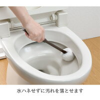 びっくりフレッシュ