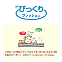 サンコーびっくりフレッシュびっくりトイレクリーナー日本製