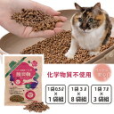 ◆9日-16日限定!先着/最大【25%OFFクーポン】猫用トイレ 猫砂 脱臭 ペットの脱臭トイレ砂 脱臭梅 0.5L1袋 3L8袋 7L3袋 サンコー 燃やせる...