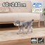 サンコーコレクトショップ