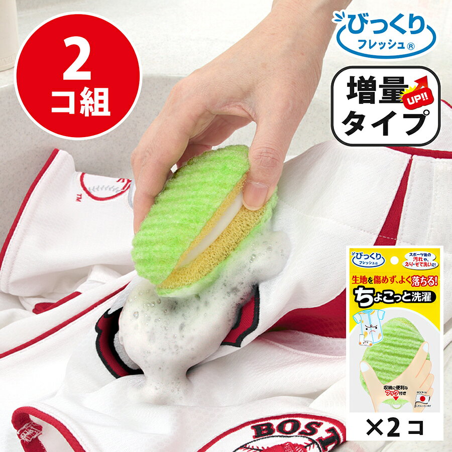 ＼8/24-27P最大27倍！先着限定15％OFFクーポンも！／【2個組】洗濯 予洗い 泥汚れ 生地 傷めない スポーツ ワイシャツ 握りやすい ちょこっと洗濯 びっくりフレッシュ サンコーのサムネイル