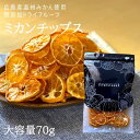 【ふるさと納税】ドライフルーツ みかんチップ 100g ( 20g × 5袋 ) 和歌山県産 果物使用 自社製造 【みかんの会】 | 和歌山 おやつ ドライフルーツ みかん 有田みかん チップ 食べきり 取り寄せ 人気