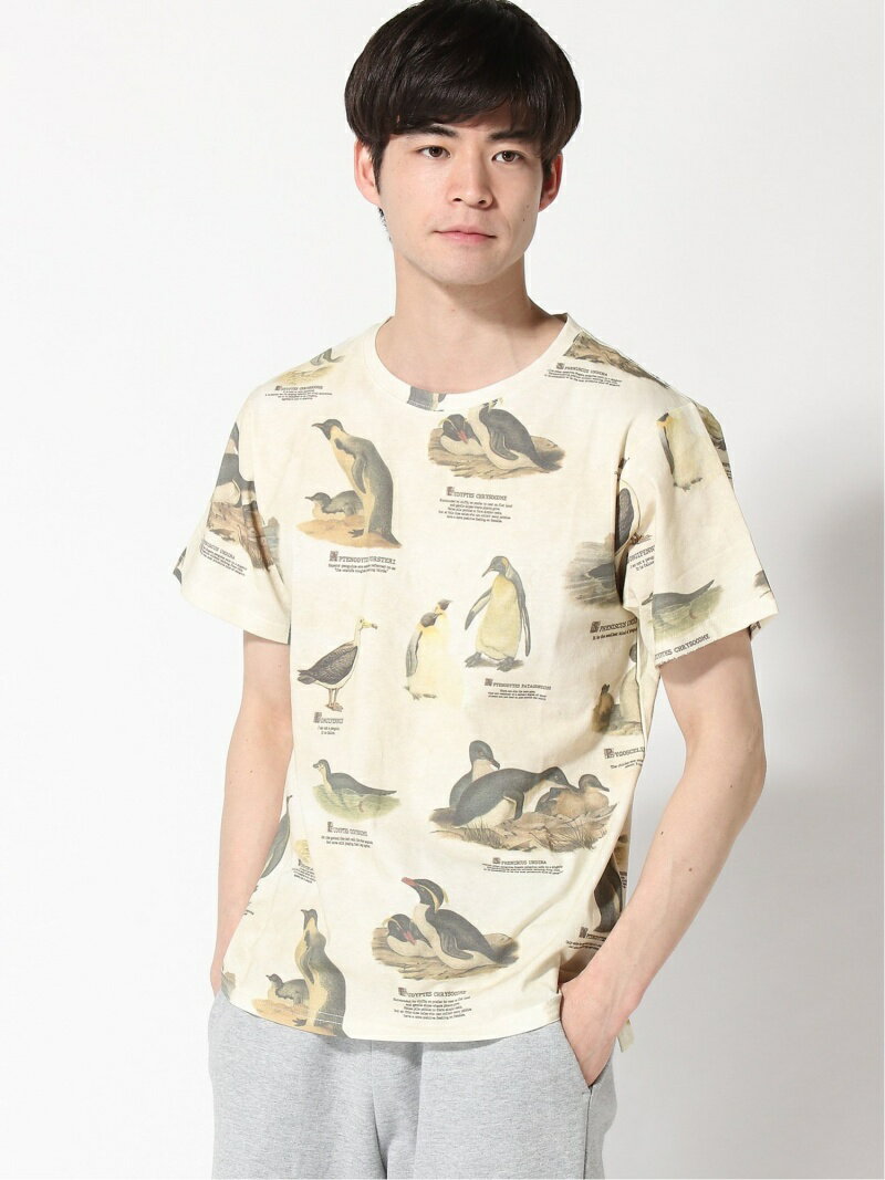 【SALE／30%OFF】go slow caravan/(M)総柄図鑑 SS TEE go slow caravan ゴースローキャラバン トップス カットソー・Tシャツ ホワイト ベージュ グレー【RBA_E】[Rakuten Fashion]のサムネイル